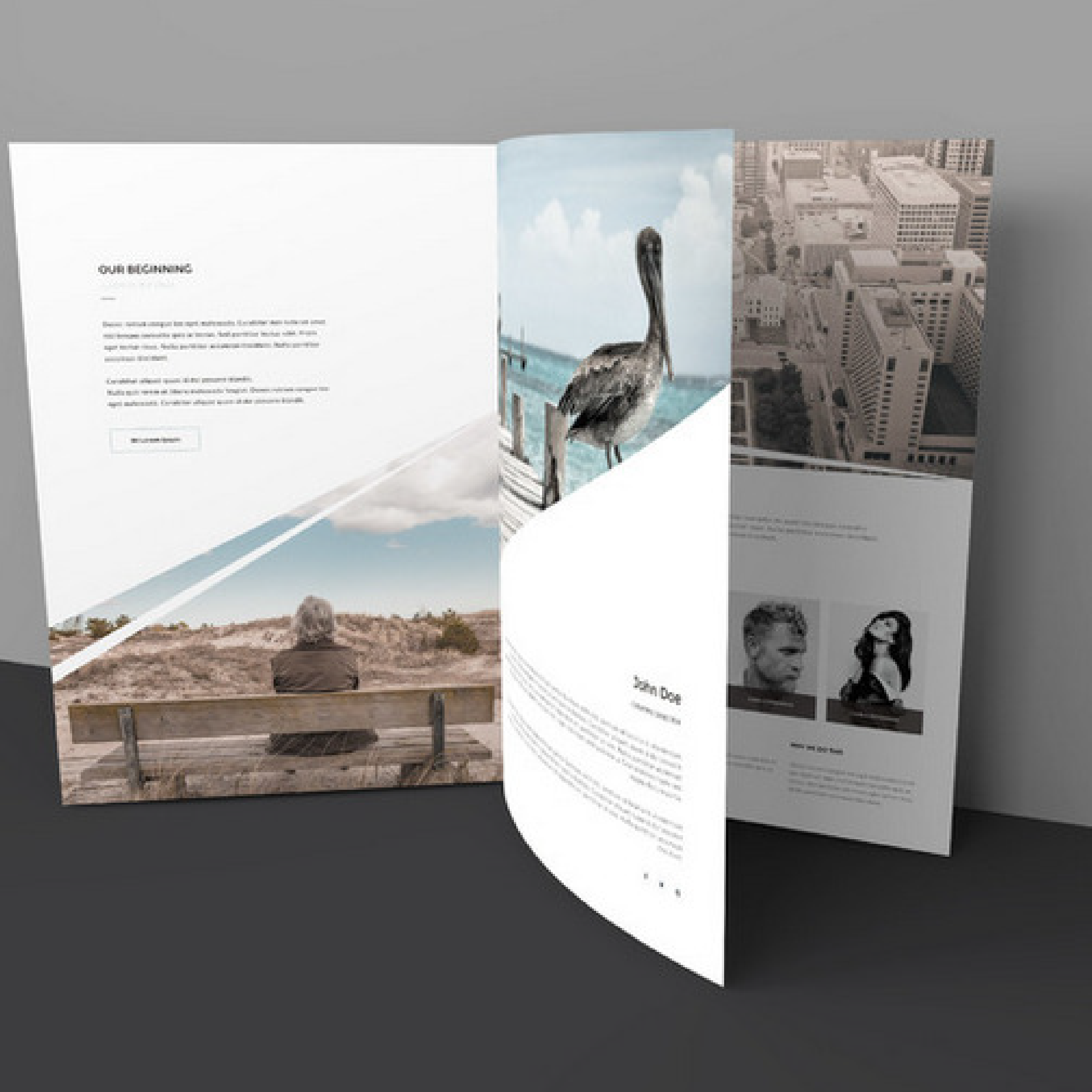Design Project